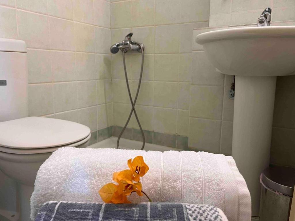 Kastro Aggeliki Apartamento Kardamyli Exterior foto